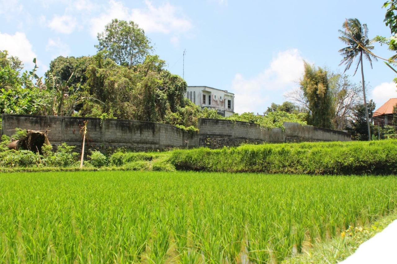 White Creative Villa Campuhan Ubud Dış mekan fotoğraf